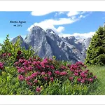 Telemark Mountain