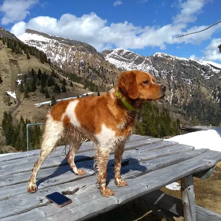 Affittacamere Telemark Mountain *